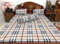 IN GIA CÔNG: CHĂN, DRAP, GỐI NỆM 54
